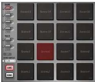 MOTU BPM 1.5 - LIVE MODE - 1
