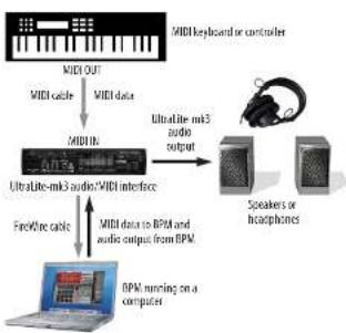 MOTU BPM 1.5 - Audio connections - 1