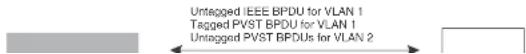 DELL PowerConnect B-FCXs - Untagged port using VLAN 2 as port native VLAN - 1