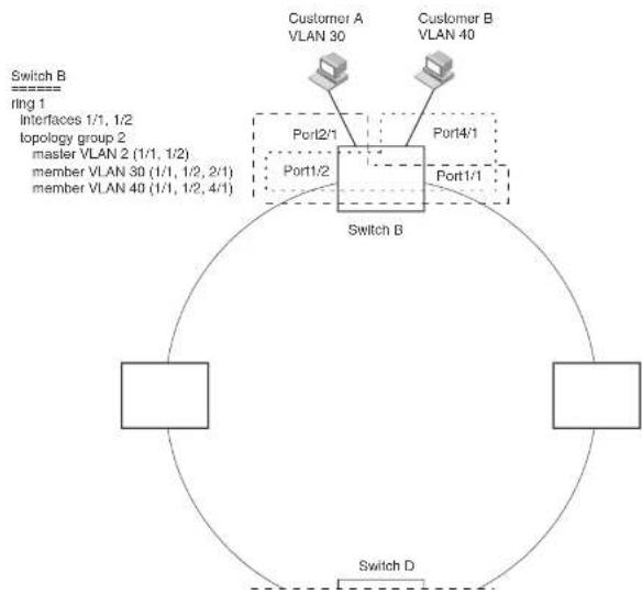 DELL PowerConnect B-FCXs - Master VLANs and customer VLANs - 1