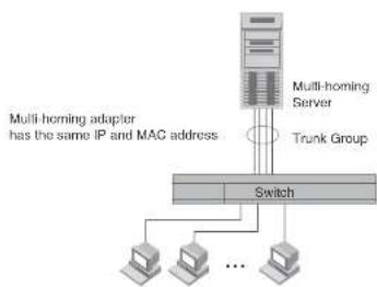 DELL PowerConnect B-FCXs - Trunk group overview - 2