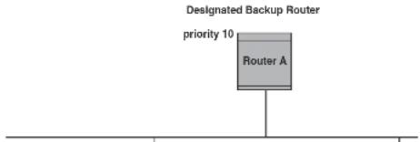 DELL PowerConnect B-FCXs - Designated router election in multi-access networks - 1