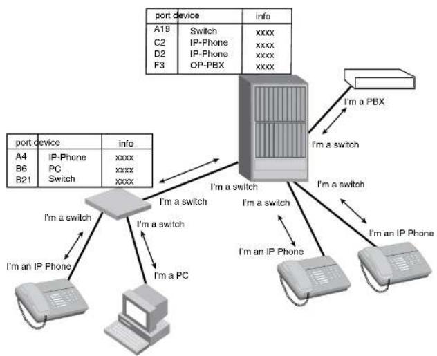 DELL PowerConnect B-FCXs - Terms used in this chapter - 1