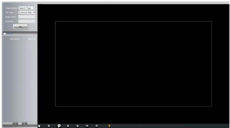 Pyle PIPCAMHD82 - PLAYBACK for IE browser only - 2
