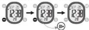 Pyle PSWHRL34 - Precautions / Tips - 2
