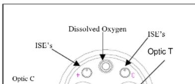 Dissolved Oxygen ISE's Optic T Optic C