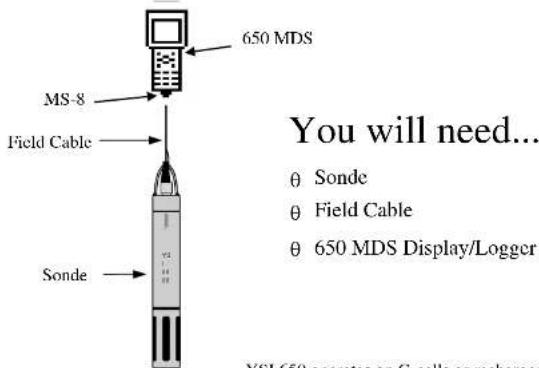 650 MDS MS-8 Field Cable Sonde You will need... θ Sonde θ Field Cable θ 650 MDS Display/Logger YSI 650 operates on C cells or recharges