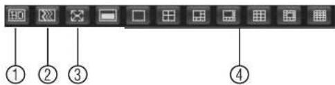 FLIR DNR408P2 - Live View Toolbar: - 1