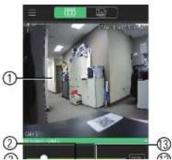 FLIR DNR1142 - Viewing Snapshots and Videos with Local Files - 3
