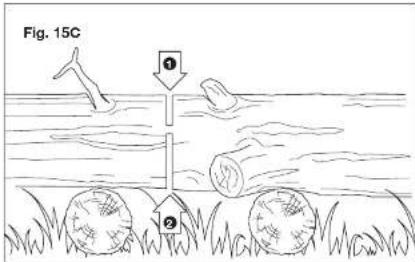 Sun Joe 24V-10CS-CT-RM - - Bucking a log - 3