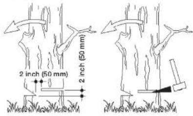 Sun Joe 24V-10CS-CT-RM - - Felling a tree - 2
