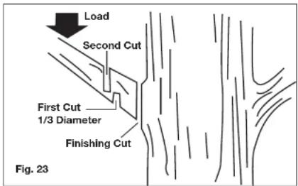 Sun Joe 24V-PS10-CT-RM - Basic Cutting Procedure - 1