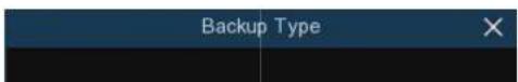 Speco Technologies ZIPK8T2 - Video Clip Backup - 2