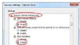 Security Settings - Internet Zone Settings Active Control and Ping-up After Active Waiting Enable Enable After Security Status Enable Enable Enable