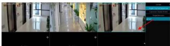Speco Technologies N4WNRN - Camera Group View In Sequence - 1
