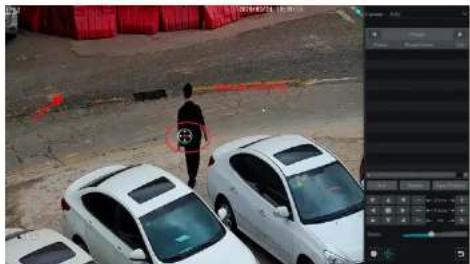 Street photo showing a person walking past parked cars with visible red safety markings and a software interface overlay