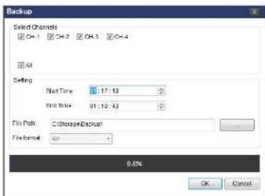 Speco Technologies D4WVNP - 7-8-6. AVI Backup during Playback - 3