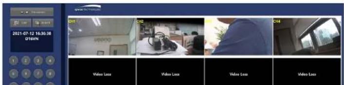 Speco Technologies D4WVNP - Network Access Using the Web-Browser Viewer - 6
