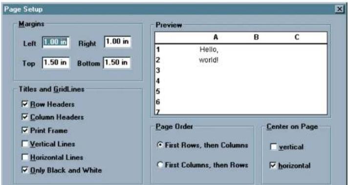YSI 6432AF - PAGE SETUP - 1