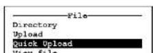 YSI 6431AF - UPLOAD PROCEDURE - 6