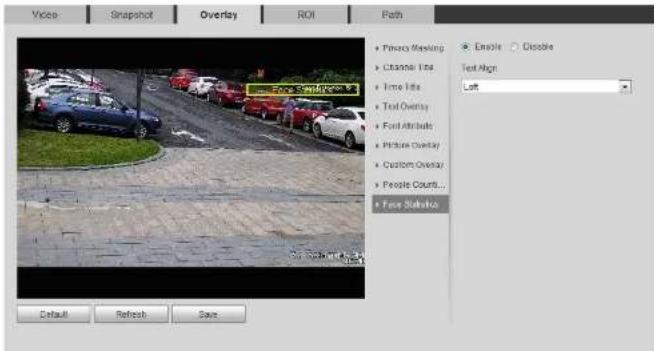 Dahua Technology IPC-HDBW5442R-ASE-OPAT - Configuring Face Statistics - 1