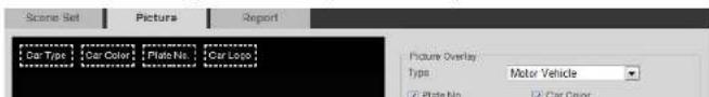 Dahua Technology IPC-HDBW5442R-ASE-OPAT - Setting Picture Information - 1