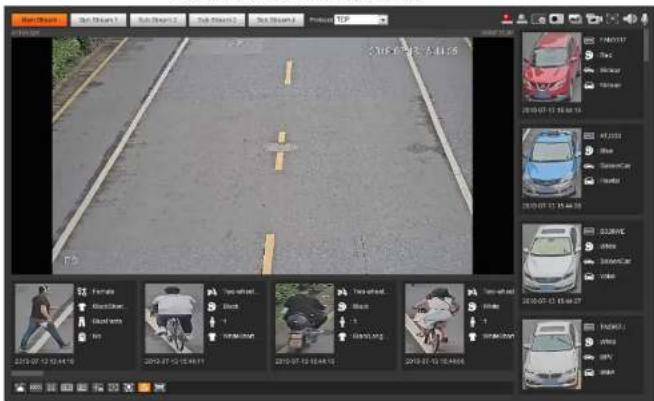 Dahua Technology IPC-HDBW5442E-ZHE - Viewing ANPR Report - 4