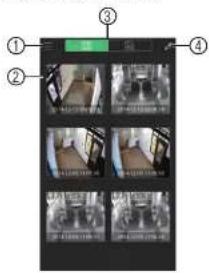 FLIR DNR408R2 - Viewing Snapshots and Videos with Local Files - 1