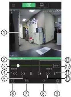 FLIR M42163 - Using Playback Mode on iPhone - 1