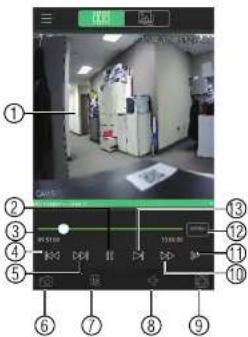 FLIR DNR70812 - Using Playback Mode on iPhone - 1