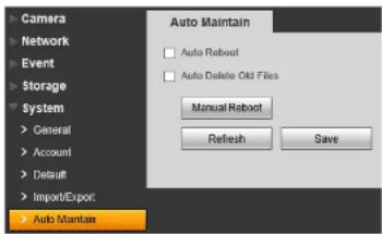 FLIR SyncroIP DNE12TL22 - Auto Maintain - 1
