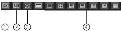 FLIR DNR516P2 - Live View Toolbar: - 1