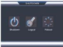 FLIR DNR516P2 - To access the Shutdown menu: - 2