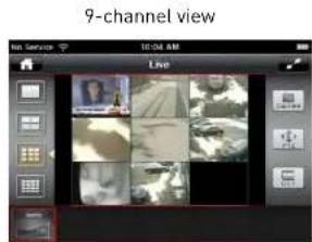 FLIR DH2589TBB - Changing Viewing Modes - 3