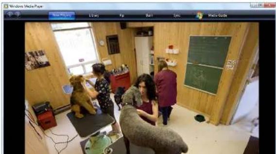 FLIR DH2589TBB - To playback AVI files: - 1