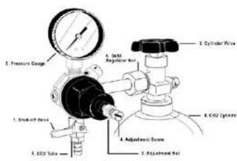 Beverage-Air DD72HC-1-S-WINE - KEG INSTALLATION - 2