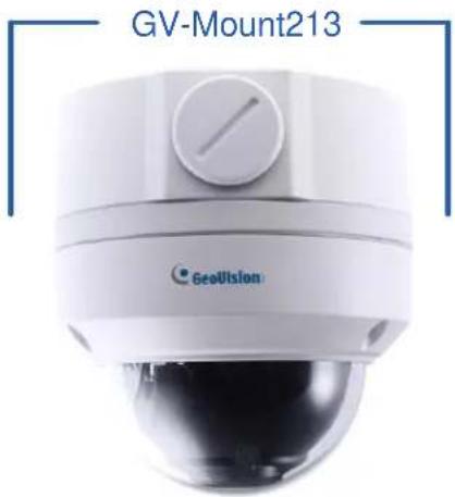 Geovision 125-TBL8804 - GV-Mount213 - 1