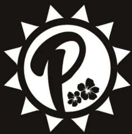 Pyle PUKT65 - 1