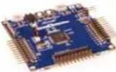 Microchip ATSAM4LS8A - Product Portfolio - 2