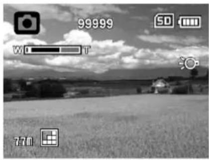 99999 50 Wi T 771