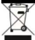 Izzy IZ-9030 - Important Information for Correct Disposal of the Product in Accordance with EC Directive 2002/96/EC - 1