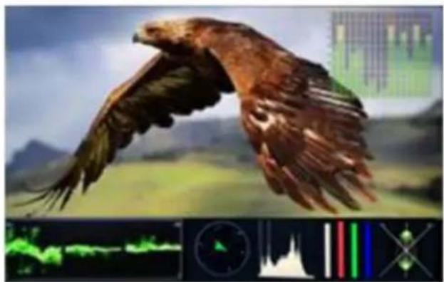 DataVideo TLM-170FR - Waveform - 3