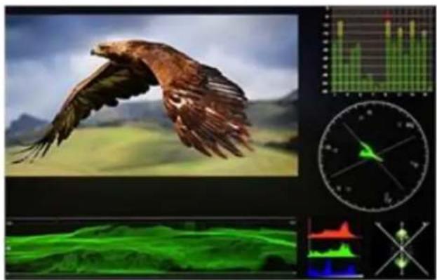 DataVideo TLM-170FR - Waveform - 1