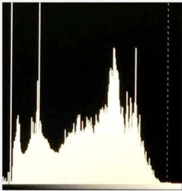 DataVideo TLM-170FR - Y (Luminosity) - 1