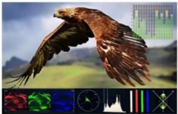DataVideo TLM-170FR - Waveform - 4