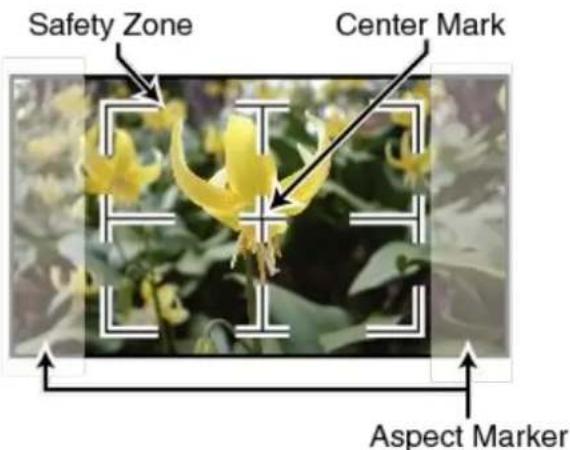 DataVideo TLM-170FR - Safety Marker - 1
