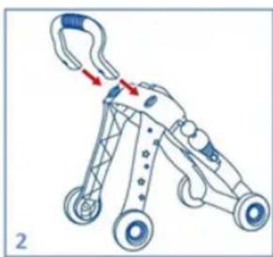 Chipolino Funny - ASSEMBLY - 2