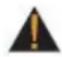 True Envision 22 - CHAPTER 1: SAFETY INSTRUCTIONS - 1