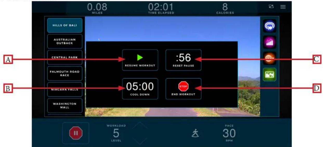True Envision 16 - CHAPTER 4: ENVISION ^16 TOUCHSCREEN CONSOLE IDLE SCREEN: - 1