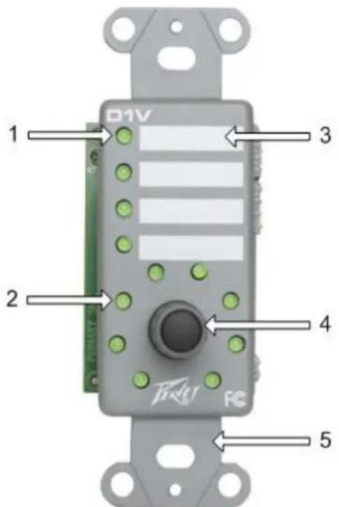 PEAVEY D1V - D1V front and rear panel - 1